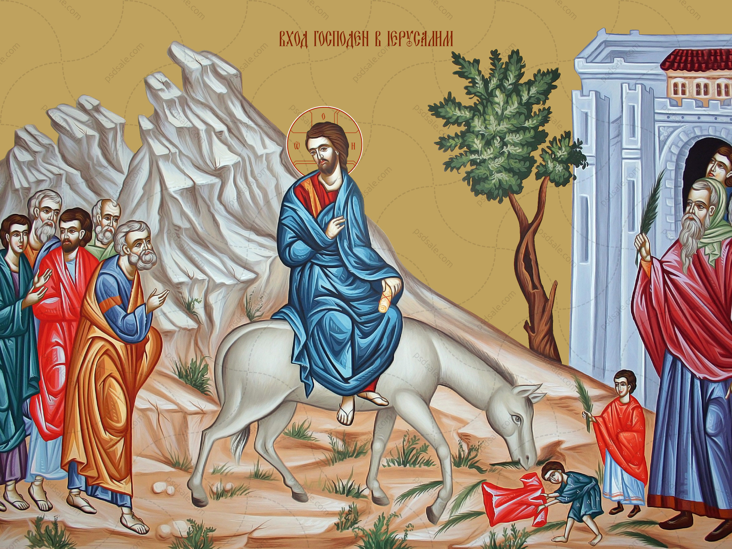 Sermon on Palm Sunday